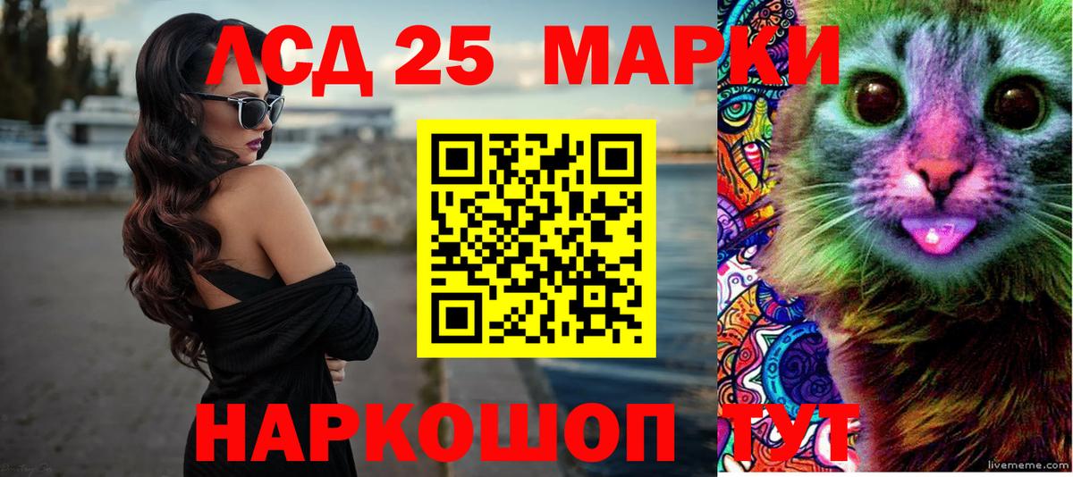 гидра вход  LSD-25 экстази кислота  Лсд 25 экстази кислота  Вход с VPN  Новодвинск 
