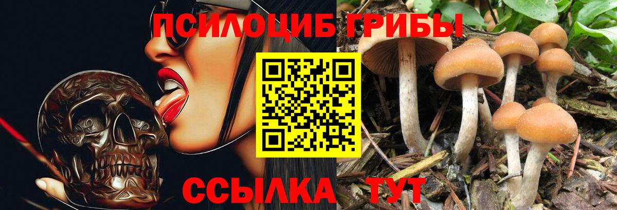 Псилоцибиновые грибы мицелий  Вход с VPN  Новодвинск  Псилоцибиновые грибы Magic Shrooms 