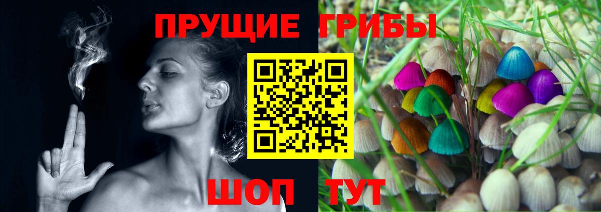 Галлюциногенные грибы Cubensis Новодвинск